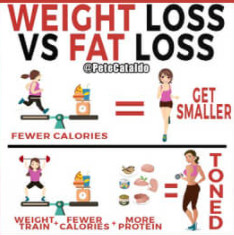 Improve You Workout - Complete Fat Loss for Beginner Program