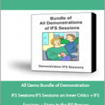 Jay Earley & Bonnie Weiss - All Demo Bundle of Demonstration IFS Sessions IFS Sessions on Inner Critics + IFS Sessions + Steps in the IFS Process