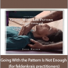 Jerry Karzen - Going With the Pattern Is Not Enough (for feldenkrais practitioners)