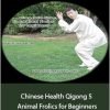 Jesse Tsao - Chinese Health Qigong 5 Animal Frolics for Beginners