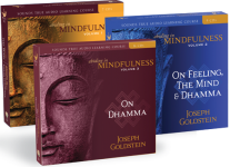 Joseph Goldstein - Abiding in Mindfulness Volumes 1 - 3