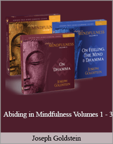 Joseph Goldstein - Abiding in Mindfulness Volumes 1 - 3