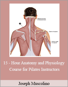 Joseph Muscolino - 15 - Hour Anatomy and Physiology Course for Pilates Instructors