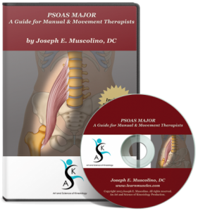 Joseph Muscolino - Psoas Major: A Guide for Manual and Movement Therapists