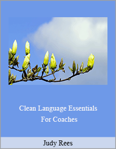 Judy Rees - Clean Language Essentials For Coaches