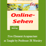 Judy Worsley - Five-Element Acupuncture as Taught by Professor JR Worsley