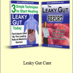 Karen Brimeyer - Leaky Gut Cure