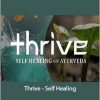 Ayurveda - Thrive - Self Healing