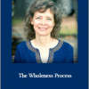 Connirae Andreas – The Wholeness Process