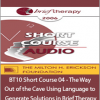 Marilyn Wedge, PhD - BT10 Short Course 04 - The Way Out of the Cave Using Language to Generate Solutions in Brief Therapy