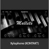 Muze - Xylophone (KONTAKT)