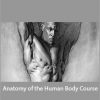 PROKO - Anatomy of the Human Body Course