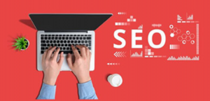 Anil Agarwal - The Seo Playbook Bundle