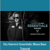 Stu Hamm’s Essentials: Blues Bass Tutorial