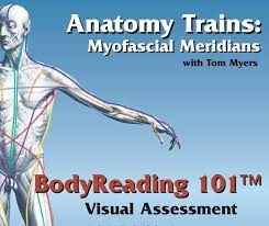 Tom Myers - Body Reading 101