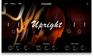 Muze Upright Bass (KONTAKT)