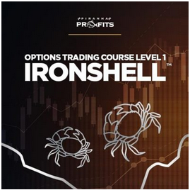 Adam Khoo - Options Trading Course Level 1: Options IronShell