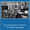 Applied Jung - Jung Unplugged: An overview of Jungian Psychology