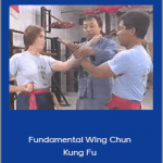 Augustine Fong - Fundamental Wing Chun Kung Fu