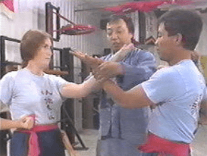 Augustine Fong - Fundamental Wing Chun Kung Fu