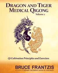 Bruce Frantzis - Dragon and Tiger Medical Qigong