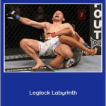 Dan Faggella - Leglock Labyrinth
