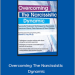 Daniel J. Fox - Overcoming The Narcissistic Dynamic