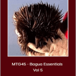 Erle Montaigue - MTG45 - Bagua Essentials Vol 5