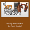 Fight Smart - Striking Workout MP3 (by Travis Roesler)