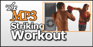 Fight Smart - Striking Workout MP3 (by Travis Roesler)