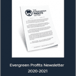 Hustle and Flowchart - Evergreen Profits Newsletter 2020-2021