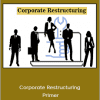 Matan Feldman - Corporate Restructuring Primer