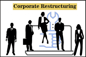 Matan Feldman - Corporate Restructuring Primer