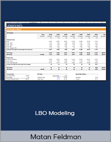 Matan Feldman - LBO Modeling