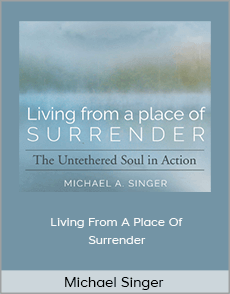 Michael Singer - Living From A Place Of Surrender