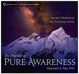 Reginald A. Ray - The Practice of Pure Awareness