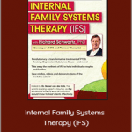 Richard C. Schwartz – Internal Family Systems Therapy (IFS): 2-Day Experiential Workshop