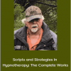 Roger P. Allen - Scripts and Strategies in Hypnotherapy: The Complete Works