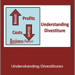 Silab Mohanty - Understanding Divestitures