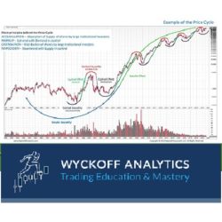 Wyckoff Trading Course - Wyckoff Analytics - SPRING 2019