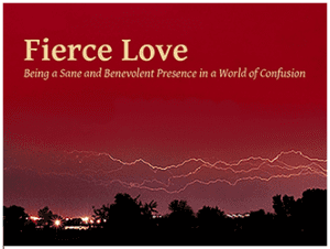 Adya - Fierce Love - Being a Sane and Benevolent Presence in a World of Confusion