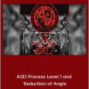 Arash DiBazar - AZD Process Level 1 and Seduction of Angie