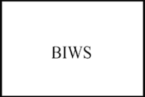 BIWS - Investment Banking Interview Guide 3.0