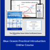 Catherine Vassant - Blue Ocean Practical Introduction Online Course