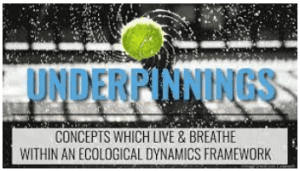 Emergence - UNDERPINNINGS CONCEPTS WHICH LIVE and BREATHE WITHIN AN ECOLOGICAL DYNAMICS FRAMEWORK