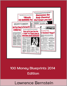 Lawrence Bernstein - 100 Money Blueprints 2014 Edition