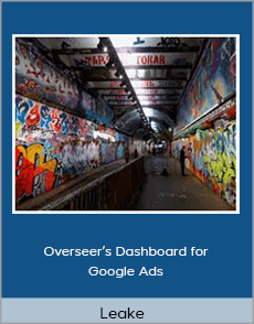 Leake - Overseer’s Dashboard for Google Ads