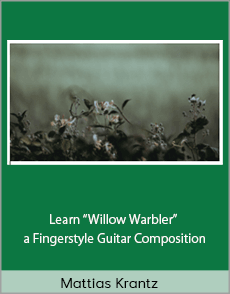 Mattias Krantz - Learn “Willow Warbler” a Fingerstyle Guitar Composition