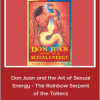 Merilyn Tunneshende - Don Juan and the Art of Sexual Energy - The Rainbow Serpent of the Toltecs