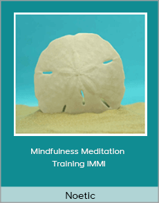 Noetic - Mindfulness Meditation Training IMMI